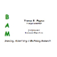 BAM Brand Advertising & Marketing Consultancy Logo