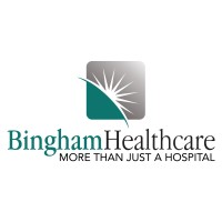 Bingham Healthcare Logo