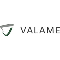 VALAME Logo