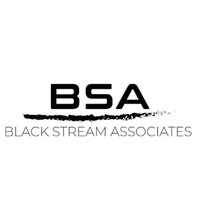 BSA - Black Stream Associates Logo