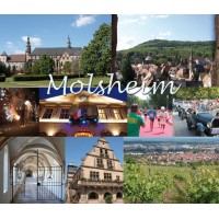 Mairie de Molsheim Logo