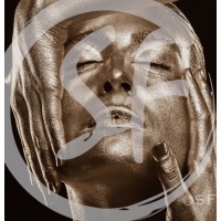 SandraFalga.com Logo