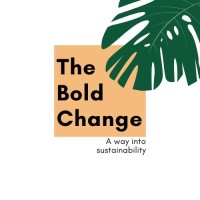 The Bold Change Logo