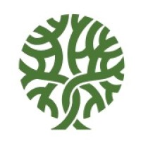 Sumauma Capital Logo