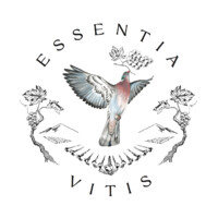 Essentia Vitis Logo