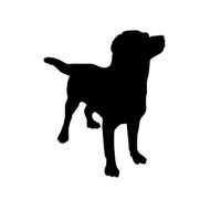 Black Dog Sales Group Logo