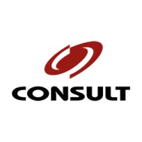Consult Soluções Empresariais Logo