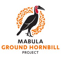 Mabula Ground Hornbill Project Logo