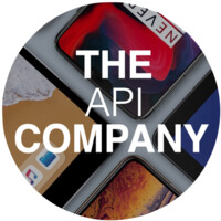 The API Company Logo
