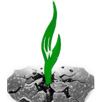 Foundation for Behavioural and Attitudinal Change Logo