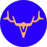 DAIN Logo
