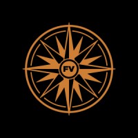 FORTIS VISION LIMITED Logo