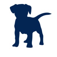 Blue Loans Secondary Services Logo