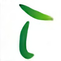 Teemotion Logo