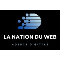 LA NATION DU WEB Logo