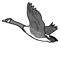 Wild Goose Art LLC Logo