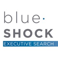 Blue Shock Executive Search Logo