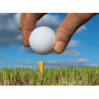 Boardroom Golf Logo