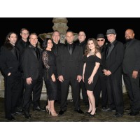 The Business (Band) Logo