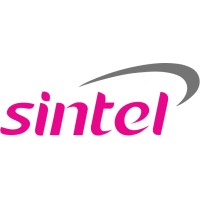Sintel It srl Logo