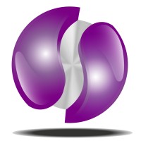 Pollux Solutions Logo