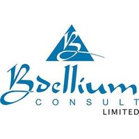 Bdellium Consult Limited Logo