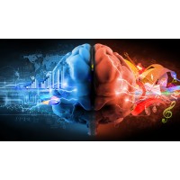 The Neuro-Inclusion Group Logo