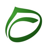 Chestnut Corporate Finance Logo