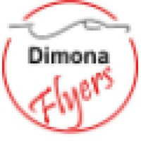 Diamond Flyers Logo