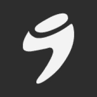 Ramone IT Private Limited Logo