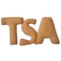 Toronto Society of Architects Logo