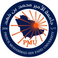 Prince Mohammad Bin Fahd University Logo