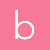 bnetwork Logo