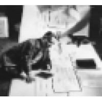 Austrian Frederick and Lillian Kiesler Private Foundation Logo