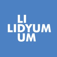 Lidyum Bilişim Teknolojileri Logo