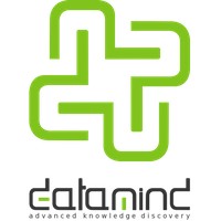 DataMind Srl Logo