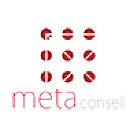 META Conseil SAS Logo