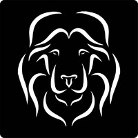 Fine Graphics Logo