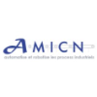 AMICN SERVICES Logo