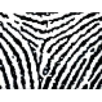 Fingerprint Associates Limited Logo
