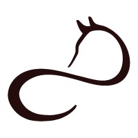 EQUI-IKIGAI SEARCHING FOR THE LIGHT Logo
