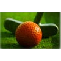 Metro Mini Links Logo