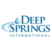 Deep Springs International Logo