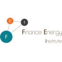 Finance Energy Institute Logo