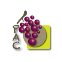 PAC INFORMATIQUE Logo