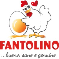 FANTOLINO Logo