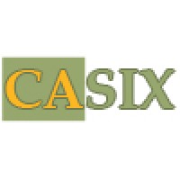 CASIX AB Logo