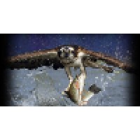 Osprey Spill Control (OSC) Logo