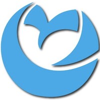 Geo Owl - GIS, Geospatial, and UAS Experts Logo
