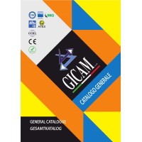 Gicam S.r.l. Logo